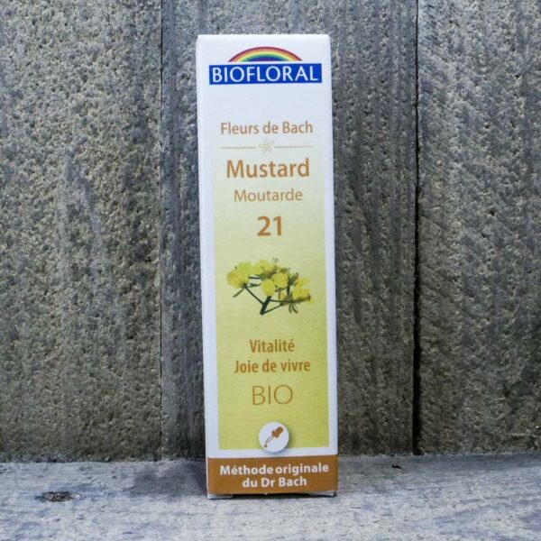 MUSTARD GRANULE 21