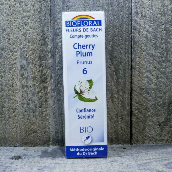 CHERRY PLUM 6
