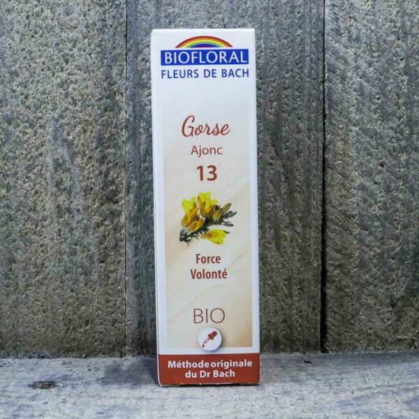 GORSE 13