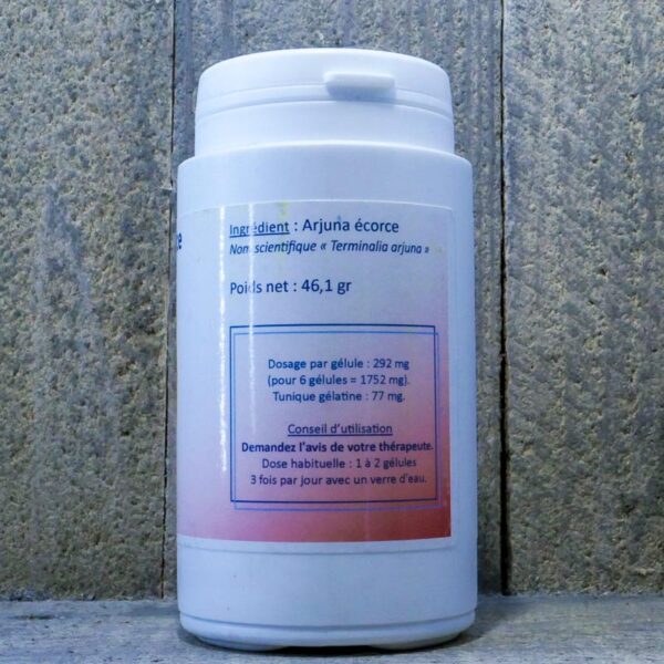 ARJUNA GEL 125 – Image 3
