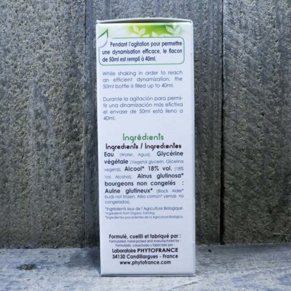 AULNE GLUTINEUX 40ML – Image 2