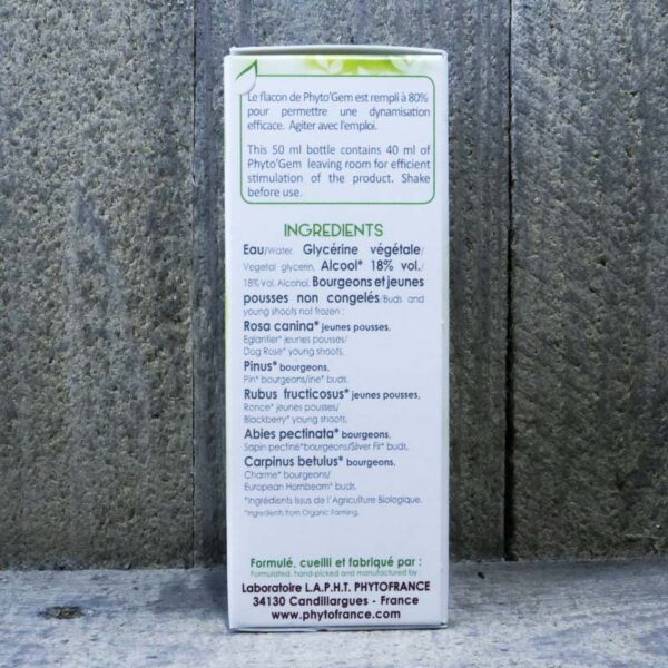 BRONCHES 40ML – Image 2