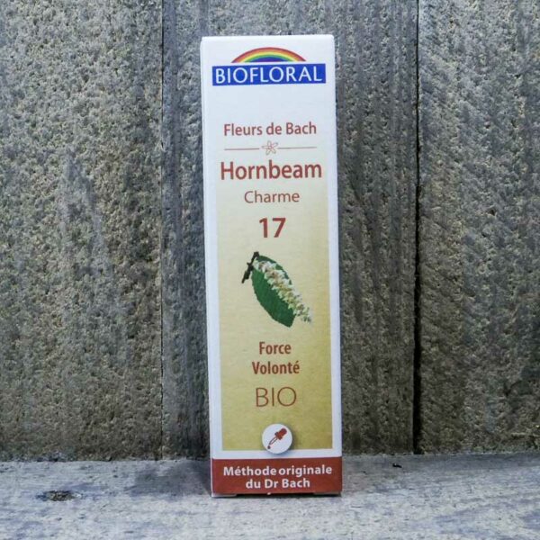HORNBEAM 17