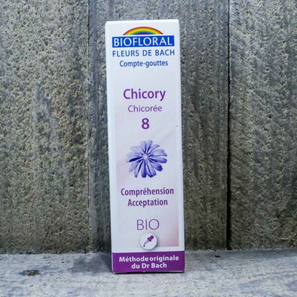 CHICORY 8