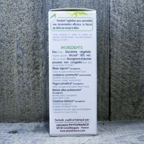 DEFENSES NATURELLES 40ML – Image 2