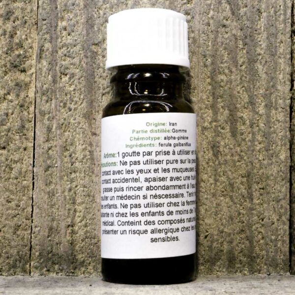 HUILE ESSENTIELLE FERULA GALBANIFLUA – Image 2