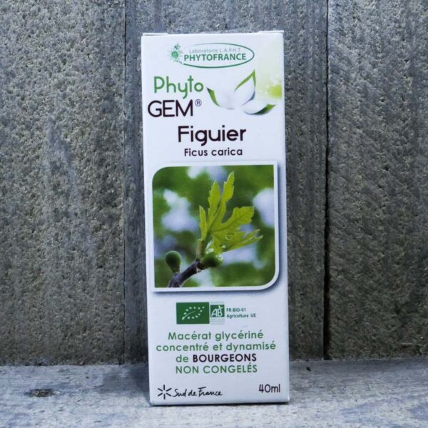 FIGUIER 40ML