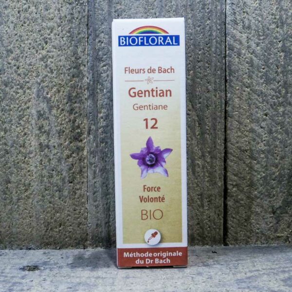 GENTIAN 12