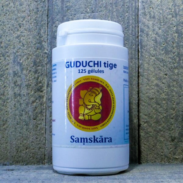 GUDUCHI GEL 125