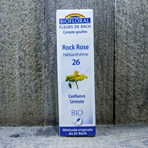 ROCK ROSE 26