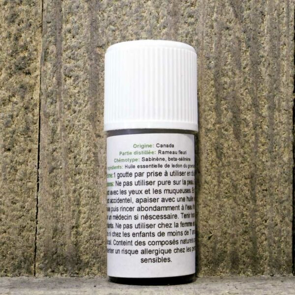 HUILE ESSENTIELLE LEDON DU GROENLAND 5ML FLACON – Image 2