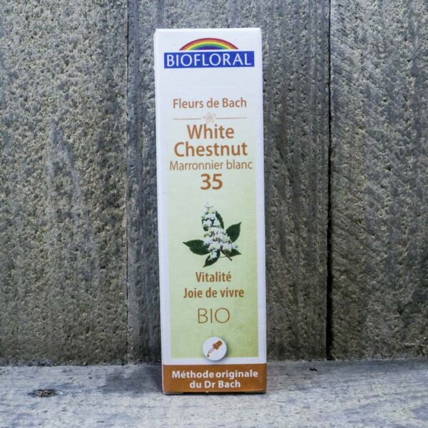 WHITE CHESTNUT 35