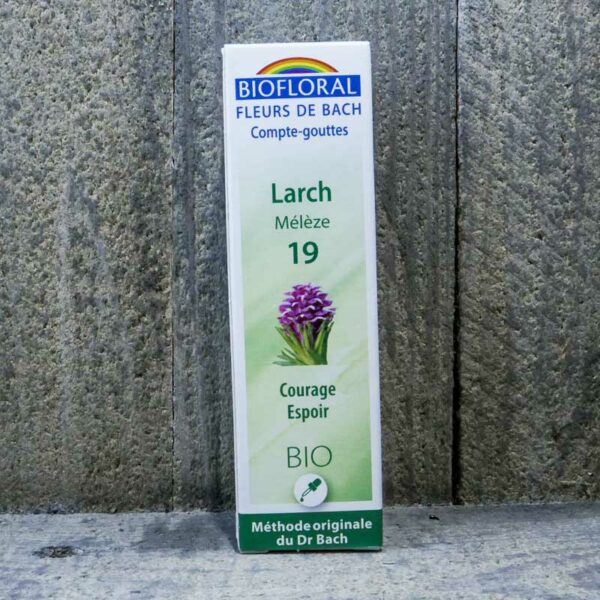 LARCH 19