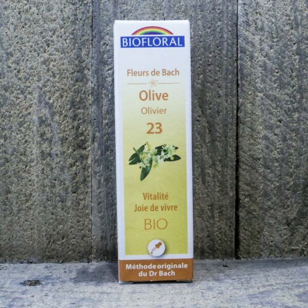 OLIVE 23