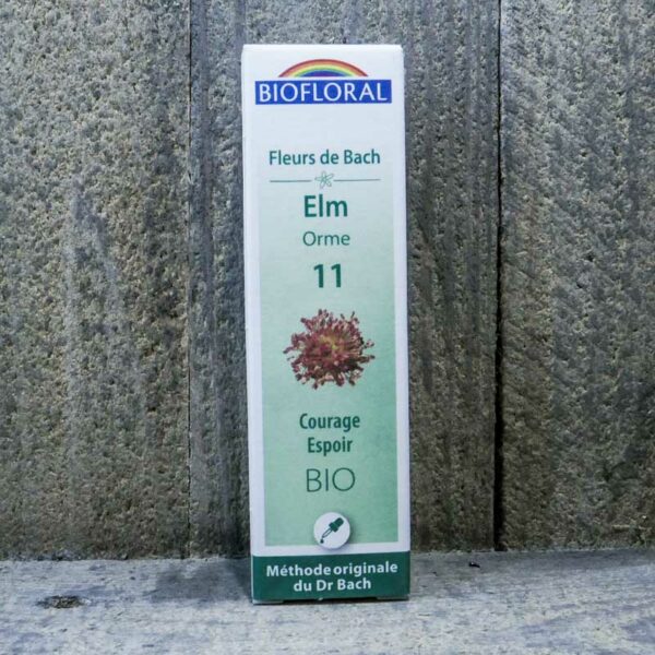 ELM 11