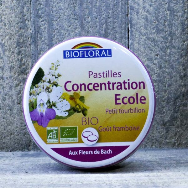 PASTILLE CONCENTRATION ECOLE