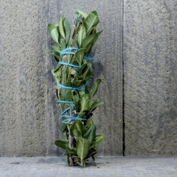 SAUGE ET MELANGE PLANTES À BRULER 25GR – Image 2