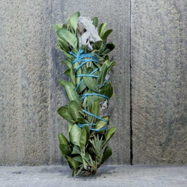 SAUGE ET MELANGE PLANTES À BRULER 25GR