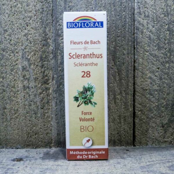 SCLERANTHUS 28