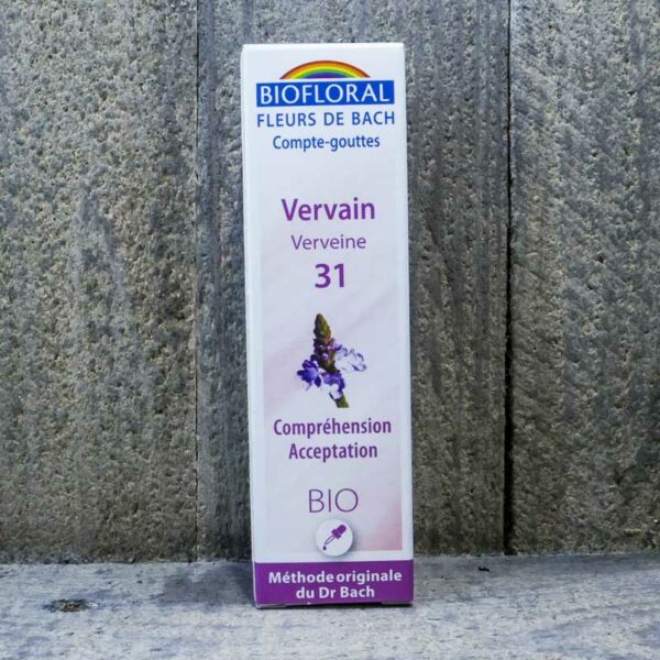 VERVAIN 31