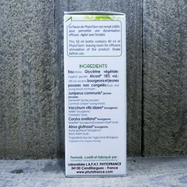 VESSIE 40ML – Image 2