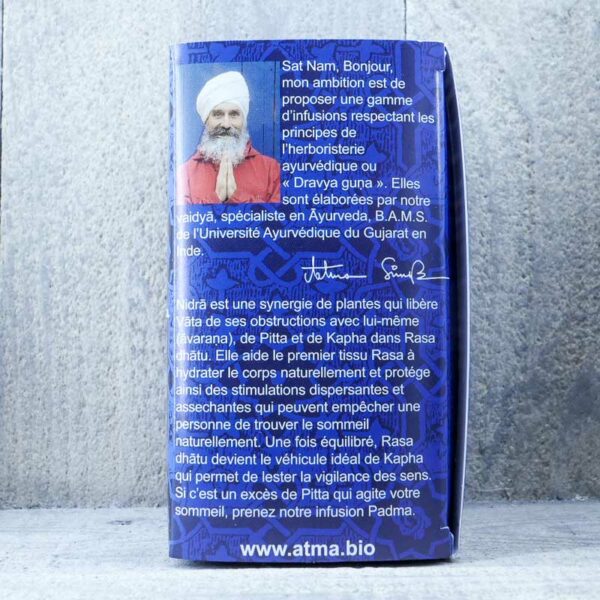 THE NIDRA ATMA – Image 2