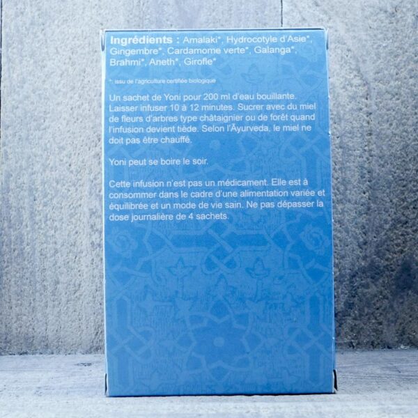 THE CONCEPTION ATMA – Image 3