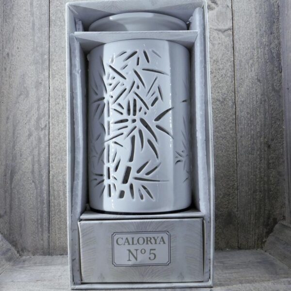 DIFFUSEUR CALORYA 5