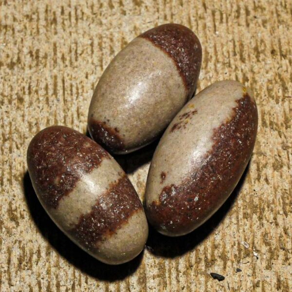 PIERRE ROULEE SHIVA LINGAM